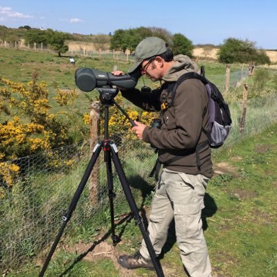 Lover of birds, butterflies and all other wildlife. My local patch is Labrador bay. also enjoy twitching rarities, Very Anti Fox Hunting.