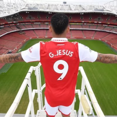 Arsenalfanblog Profile Picture