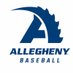 Allegheny College Baseball (@ACGatorbaseball) Twitter profile photo
