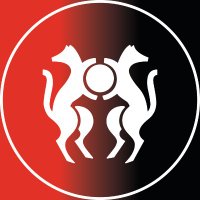 Académie SRFC (@academiesrfc) 's Twitter Profile