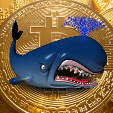 Bwhale777's profile picture. I am tracking ₿ig crypto whales and riding their ₿uy/$ell waves 🌊