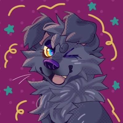 roccdogさんのプロフィール画像