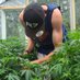 Kush'n'Petunias ๐ฑ๐ธ (@pushinpetunias) Twitter profile photo Kush'n'Petunias ๐ฑ๐ธ (@pushinpetunias) Twitter profile photo