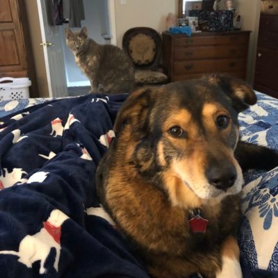 TDickinson05's profile picture. 