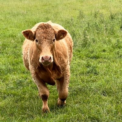 Factbased5's profile picture. Just telling it like it is