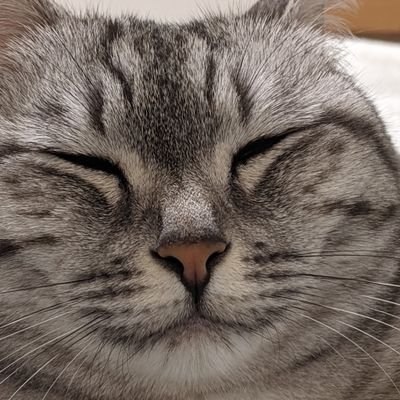 アイコンはうちの猫です。

Discord: XPS#7421
Website: https://t.co/TnTt0p7elx
Github: https://t.co/M6BjCgT9dA