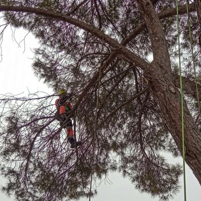 poraquidepaseo's profile picture. Año nuevo, tuiter nuevo.