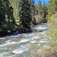 Katie 🇺🇸 (@wink_68) 's Twitter Profile Photo