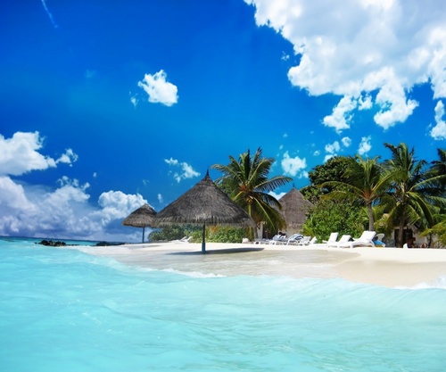 dtmadhouse's profile picture. 