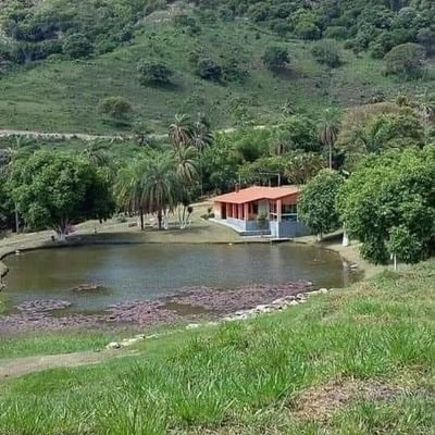 seguiré con mi sueño de tener una finca para convertirla en un paraíso ecológico para ello solicito el apoyo de un numerólogo bien acertado con los números