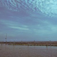 uri.saint (@urisaint) 's Twitter Profile