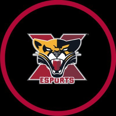 SXU_Esports Profile Picture