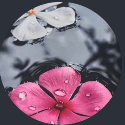 Logi91248308's profile picture. 