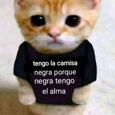 bluebluabluo's profile picture. 