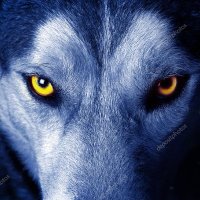 Lobo Mau (@lobo_mau_br) 's Twitter Profile