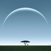 Crypto-ist21 (@cryptoist21) 's Twitter Profile