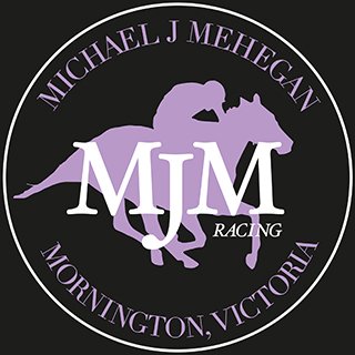 Group 3 winning Trainer, Michael Mehegan is based at Mornington Racecourse, only 45 minutes from Melbourne.