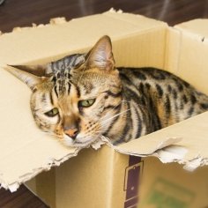 ippanpeople75's profile picture. 旅行好き、新しいものが大好き！今は新しいことに挑戦中！面白い情報やお得な話題をコッソリ爆散します。amazonアフィリエイトもやってます！