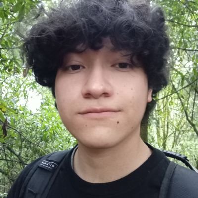 En el camino del desarrollador 🧘🚵🧗 Un poco de back, otro de front y aprendiendo mucho más 🧑💻