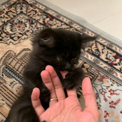 اللهم طبا لقلوبنا، طبا لعقولنا، وطبا يجرى على ايدينا