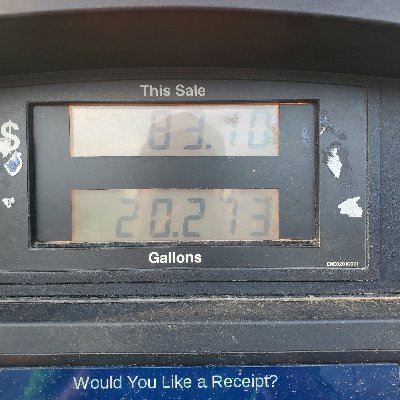 YoungLi13353080's profile picture. 