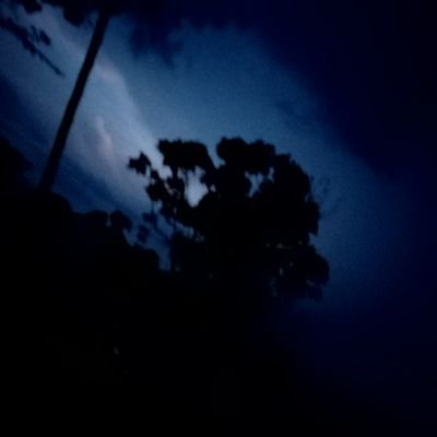 josepea65598761's profile picture. BUENAS