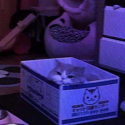 plaksaoops's profile picture. Питерская ледя Аринчес. 20y.o. фан-арты лучших персов!        а также.. РИСУЮ ОБЛОЖКИ НА БОГЕМНЫЕ ТРЕКИ🤍