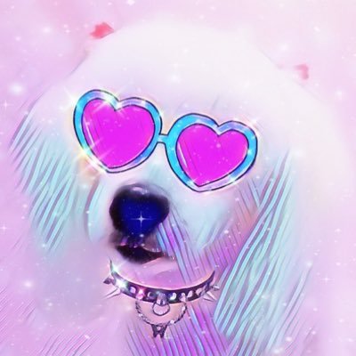 ZW0c7fvTPPMGijk's profile picture. 🇯🇵🇯🇵安倍晋三🇯🇵国葬賛成🇯🇵憲法改正🇯🇵日韓断交🇯🇵🇯🇵日本のみならず世界にも貢献した安倍総理が暗殺されたのに、なぜかテロリストの山上が同情される空気を作り出し、亡くなられた安倍総理を貶めるマスゴミとアベガーが死ぬほど嫌いです。※無言フォロー失礼します🙇