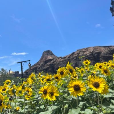 yn571AnjmKBOpHD's profile picture. バイト先の先輩に叶わない恋してます。