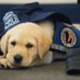 Hudson ODU (@hudsonodu) Twitter profile photo Hudson ODU (@hudsonodu) Twitter profile photo