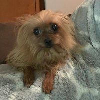 MamaDrama (@kbaker07199555) 's Twitter Profile