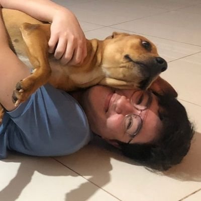 Minha vida é falhando, quando eu parar de falhar é porque eu morri.
isso não é uma frase desmotivacional