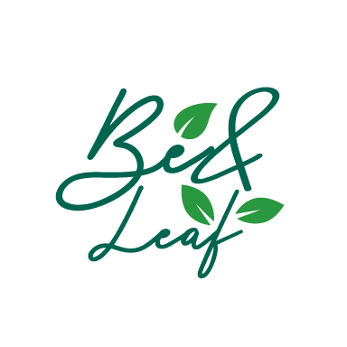 beandleaf's profile image