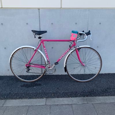 自転車と文学。翻訳「オールロードバイク・レボリューション」(共訳)。固定とフリー、スティールとカーボン、タイヤ太め、未舗装路、段差。英詩。Unschooling Parent. 反差別。