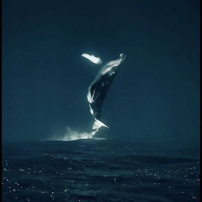 💭رَحيمٌ ومَا يُدريك عَن سرِّ فَضلهِ...كَريمُ العَطايا حِين يُعطي وَيمنعُ 🤍