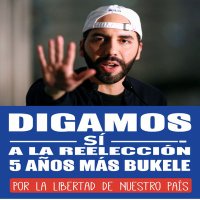 Danny Castro (@dannyca11454400) 's Twitter Profile