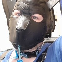 Pup Glitch(@Razor14150) 's Twitter Profile Photo