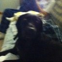 Harry McMahan - @HarryMcMahan18 - Twitter