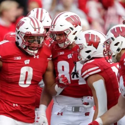 Badgereverthing's profile picture. 