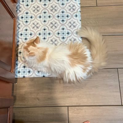 ConcrndnWatchin's profile picture. AZ fight for truth!