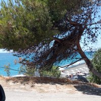 Ξανθίππη Γάργαλη (@xgargal) 's Twitter Profile