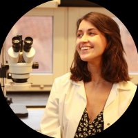 Marta Ramos (@martarrv) 's Twitter Profile