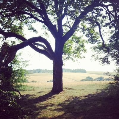 lamy_myrtille's profile picture. Unique parmi les autres, car ici ou ailleurs, on l'est tous