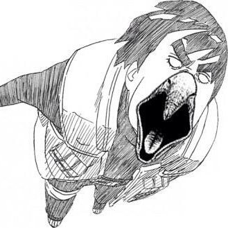 ajnr17's profile picture. 