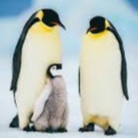 lijundesio (@lijundesio) 's Twitter Profile