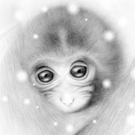 モノクロ画家 近藤圭弘さんのプロフィール画像