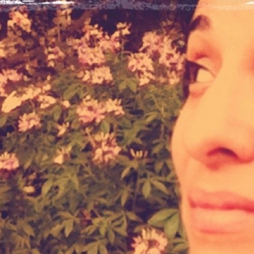 sergeantpants's profile picture. only floss the teeth you want to keep