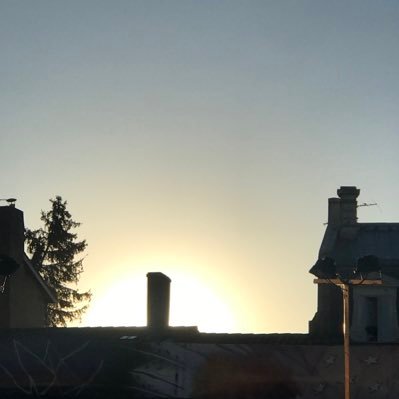 Un brin blagueur teinté de passion en politique El moineau ne récupère pas les miettes, il les sème pour partager sa vision de l'humanité. Chef d’entreprise