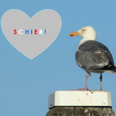 Fan van natuurfotografie. En van Schiermonnikoog. 
Dat gaat heel goed samen. Mijn foto's op Instagram: 
@fotos.van.schiermonnikoog  
@flowersandinsects2707