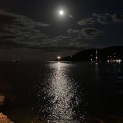 Aqeeli12's profile picture. 